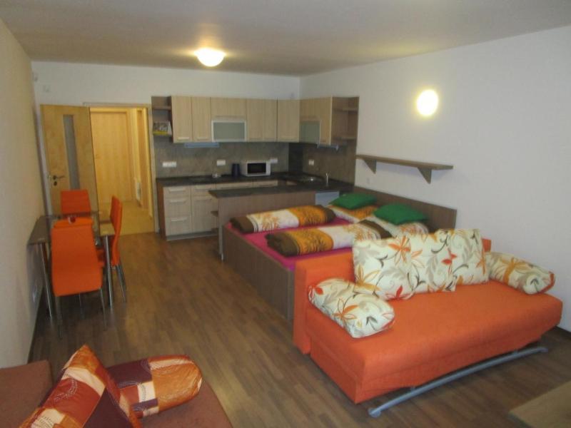 Apartman Ricky V Orlickych Horach Pustiny Bagian luar foto
